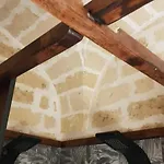 Notti Magiche