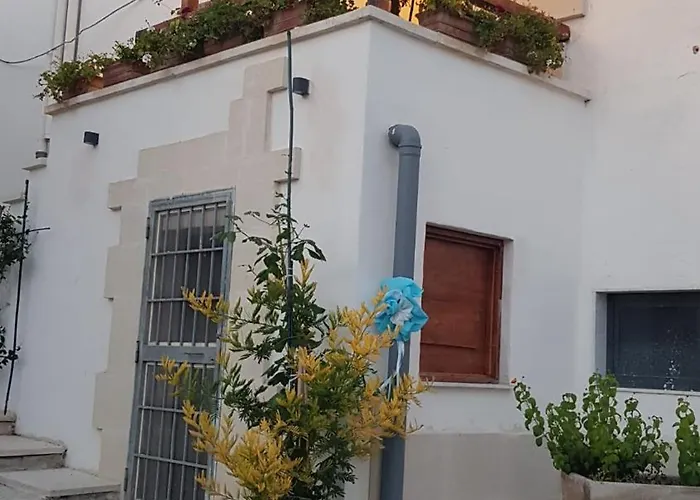 Notti Magiche Novoli